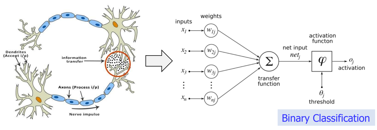 NeuronToBC
