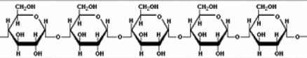 amylose